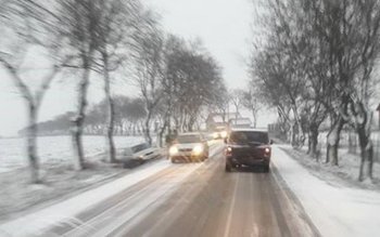 Ninsoarea din această dimineață le-a …