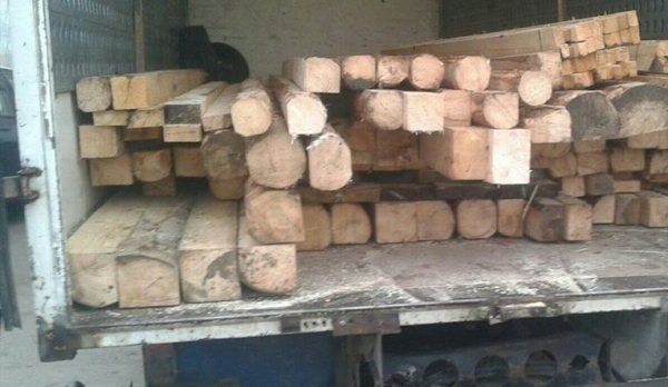 Material lemnos confiscat de polițiști pe raza localităţii Pomârla. Șoferul, sancţionat contravenţional