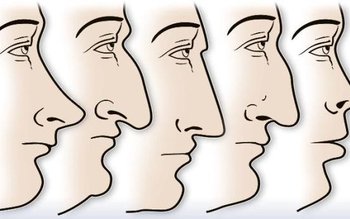 Ce spune nasul despre caracterul …