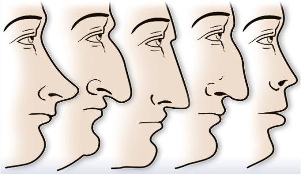 Ce spune nasul despre caracterul unei persoane