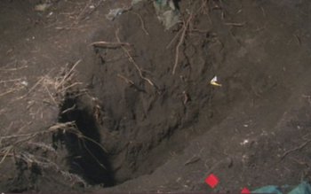 Descoperire macabră în prima zi …