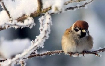 Anunț surprinzător de la ANM. …