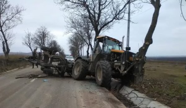 Din tractor, în copac: Accident cu victimă la Cristești!