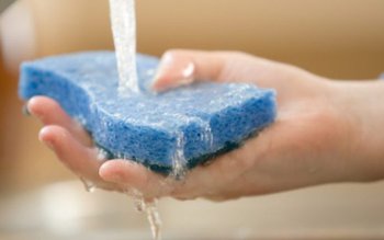 ATENȚIE la buretele de vase. …