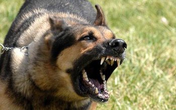 Bărbat din Botoșani ajuns la …