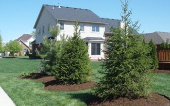 Care este adevărul: Este sau …