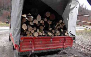 Transport ilegal de lemne confiscat …