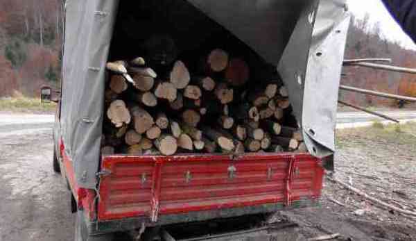 Transport ilegal de lemne confiscat de polițiștii botoșăneni