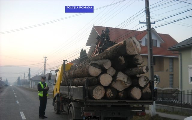 Material lemnos fără forme legale confiscat de polițiștii botoșăneni