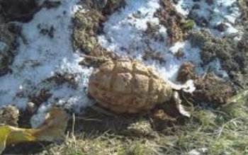 Descoperire periculoasă făcută de un …