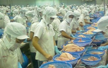 Ne omoară cu bună ştiinţă: …