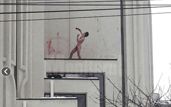 Scene de coşmar: S-a urcat …