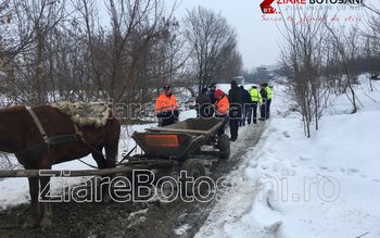 Autoritățile din județul Botoșani în …