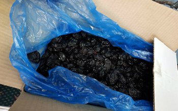 Sute de kilograme de prune …