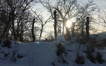 Vreme neașteptată în următoarele zile. …