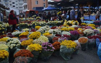 Percheziții la vânzătorii de flori …