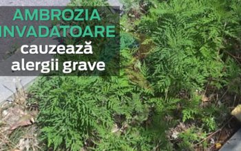 Lege promulgată: Dacă nu distrug …