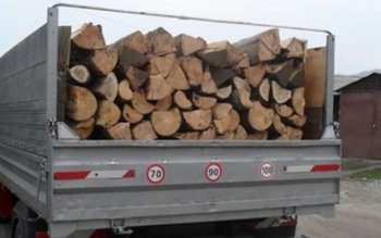 Material lemnos transportat fără documente, …