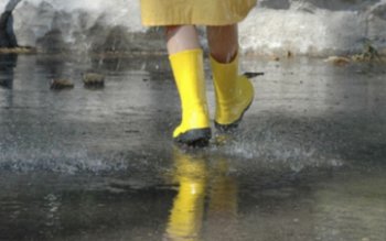 METEO ALERT! Județul Botoșani sunt …