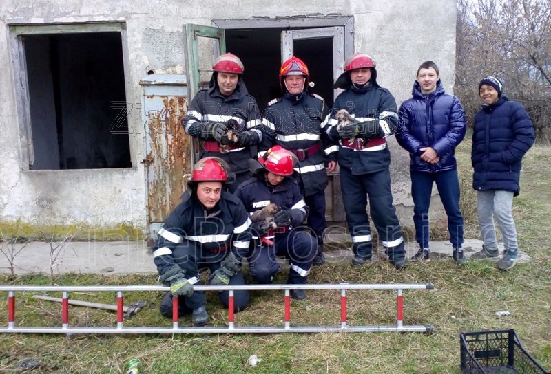 Imagini emoţionante: Trei suflete nevinovate salvate de pompieri - FOTO