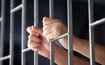 Încă un hoț băgat la …