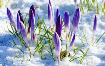 Vremea la extreme: În următoarele …