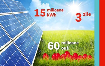 Pentru a fierbe şi vopsi …