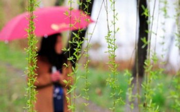 Anunț de la ANM: Ploi …