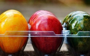 Cât timp putem mânca ouăle …