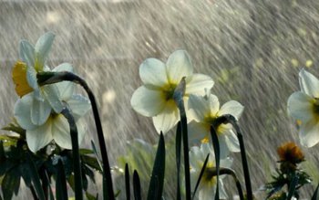 Vremea se schimbă radical: Meteorologii …