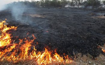 Focuri scăpate de sub control …