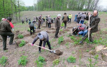 Luna curățeniei marcată cu o …