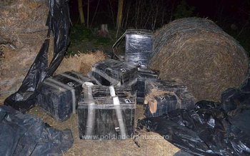 Focuri de armă pentru reţinerea …