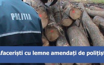 Transport ilegal de lemn, oprit …
