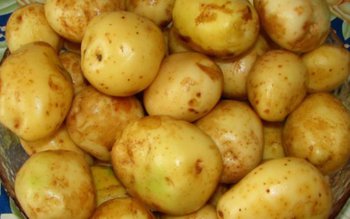 De ce să nu cureți …