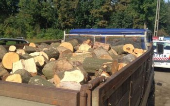 Material lemnos fără documente legale …