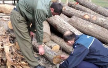 Poliţiştii de investigare a criminalităţii …