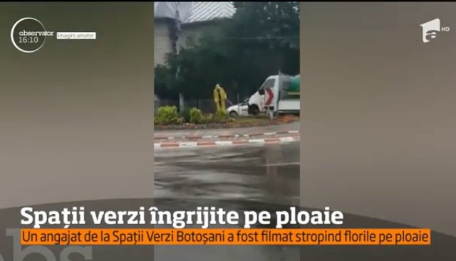 Dorel de Botoșani, filmat în timp ce udă conștiincios florile în timp ce afară plouă cu găleata