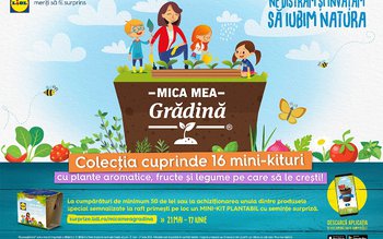 Lidl îi învață pe cei …