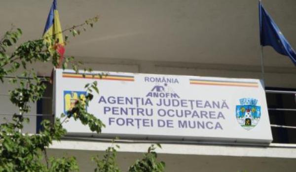 ATENȚIE! Întreprinderile sociale pot obține atestatul de la AJOFM Botoșani care le va oferi posibilitatea de a accesa fonduri europene