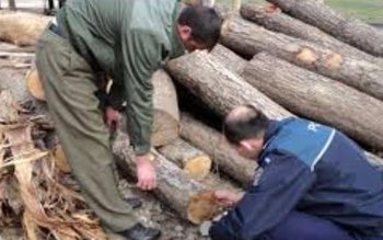 Comerț ilegal constatat la sediul …