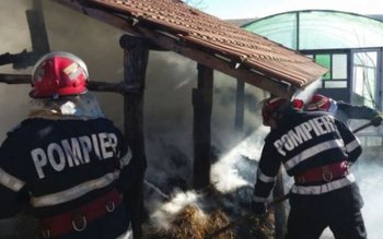 Un solar și zece tone …