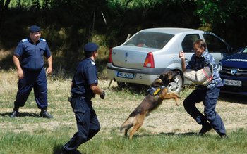 Jandarmii se pregătesc pentru executarea …