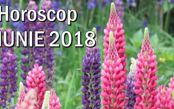 Horoscopul lunii iunie: Unii cu …