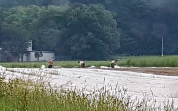 Șocant! Doi români au murit …