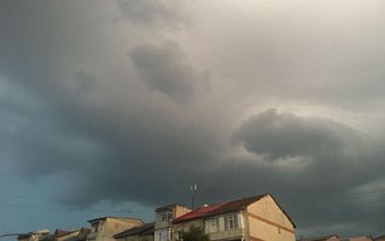 Cod GALBEN de vânt, descărcări …