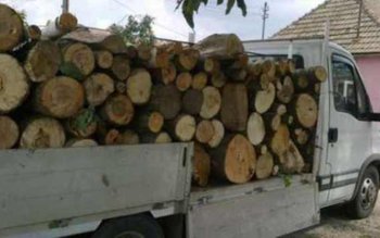 Material lemnos fără aviz de …