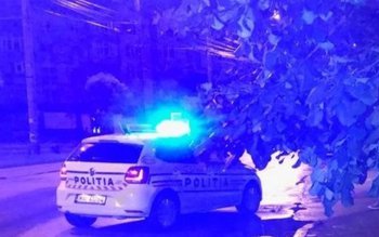 Copaci rupți pe Calea Națională …