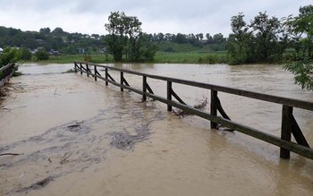 22 de persoane au fost …