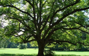 Ce se întâmplă cu noi …